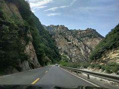 -王顺山国家森林公园