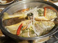 -老号尤兔头(幸福店)