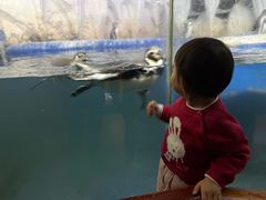 -太平洋海底世界