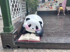 -轩客会(熊猫书店)