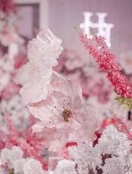 -天邑国际酒店·宴会厅