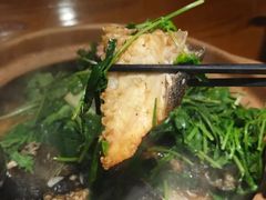 -九道菜有鸡鱼头(石鼓路店)