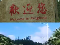 -兴隆华侨农场