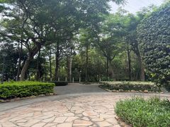 -小南山公园