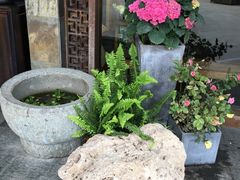 -青藤茶馆(南山路店)