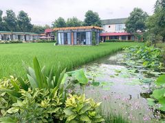 -洪湖家庭农场·团建·露营·会议