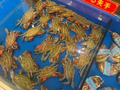 -新洪记·丽久饭店(铁西店)