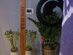 -梵猫·新养生(湛江鼎盛店)