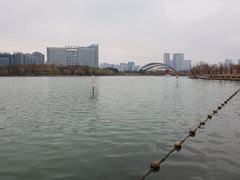 -天鹅湖体育公园