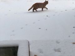 -十一咖啡(青年大街工厂店)