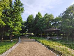-同里国家湿地公园