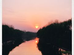 -东郊湿地公园