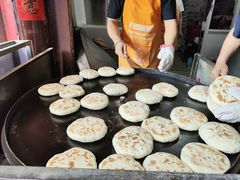 -眼镜粑粑