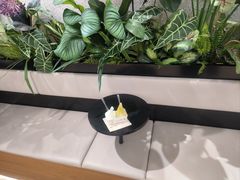 -巴黎春天(浦建店)