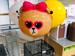 -line friends(明洞旗舰店)