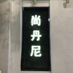 -尚·丹尼Hair
