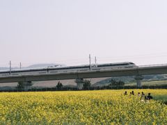 -光明小镇欢乐田园