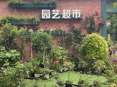 -新江湾城公园