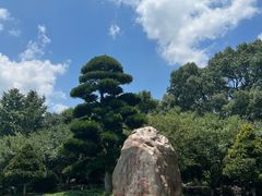 -韶山毛泽东同志故居