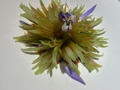 -浙里本味·宴四季江南(三台山路店)