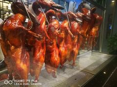 -高第街56号港式餐厅(山大路店)