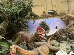 -国家自然博物馆