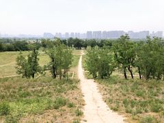 -汉长安城未央宫国家考古遗址公园