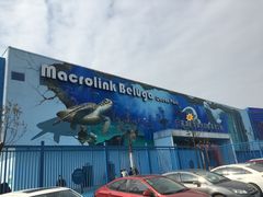 -芜湖新华联大白鲸海洋公园