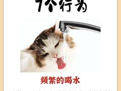 -博特宠物医院24h犬猫全科.骨科·异宠