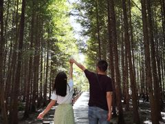 -桤木河湿地公园