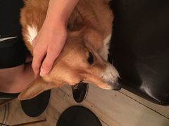 -小时光咖啡馆(北锣鼓巷店)
