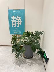 -奥本瑜伽·普拉提