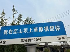 -恋山坝上草原