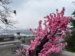 -鸡鸣寺