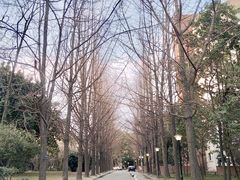 -西南交通大学(九里校区)