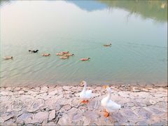-北宫国家森林公园