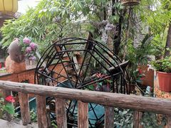 -园林美食城·本土农家菜(杨和镇店)