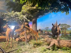 -国家自然博物馆