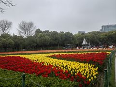 -大宁公园