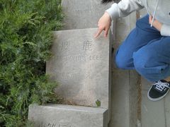 -北京麋鹿生态实验中心