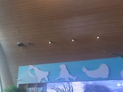 -抱抱地球咖啡馆(国家海洋博物馆店)