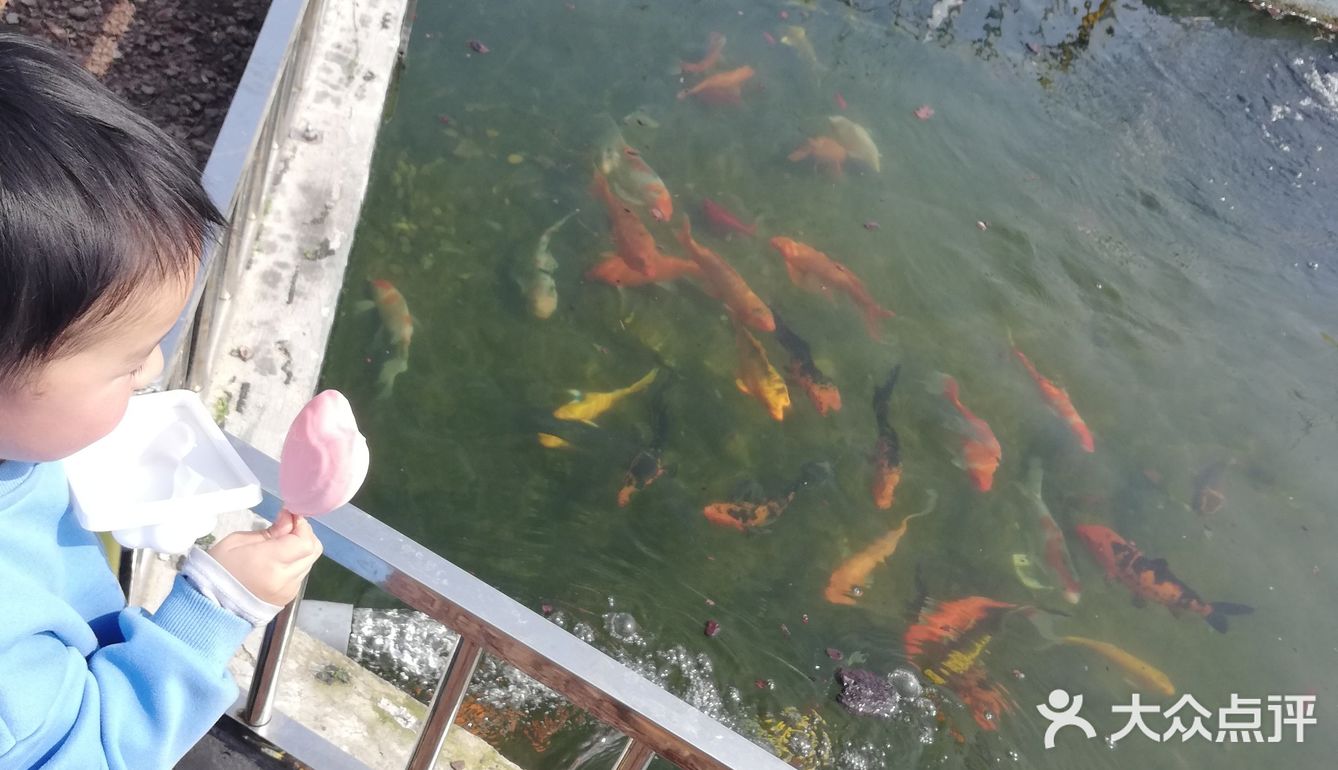 比较失望的一次旅程