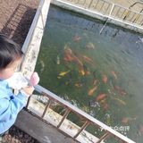 比较失望的一次旅程