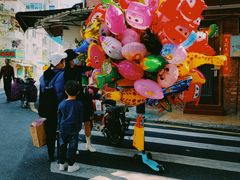-溪岸路花鸟市场