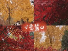 -岳麓山风景名胜区