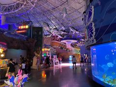 -烟台海昌鲸鲨海洋公园