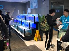 -盒马鲜生(杭州运河上街店)