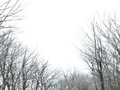 -安吉龙王山风景区