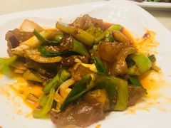 -敦煌达记酱驴肉黄面馆