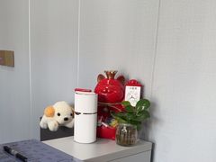 -田凤波推拿.按摩养生(幸福店)